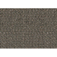 J451-140 Savane Chameleon